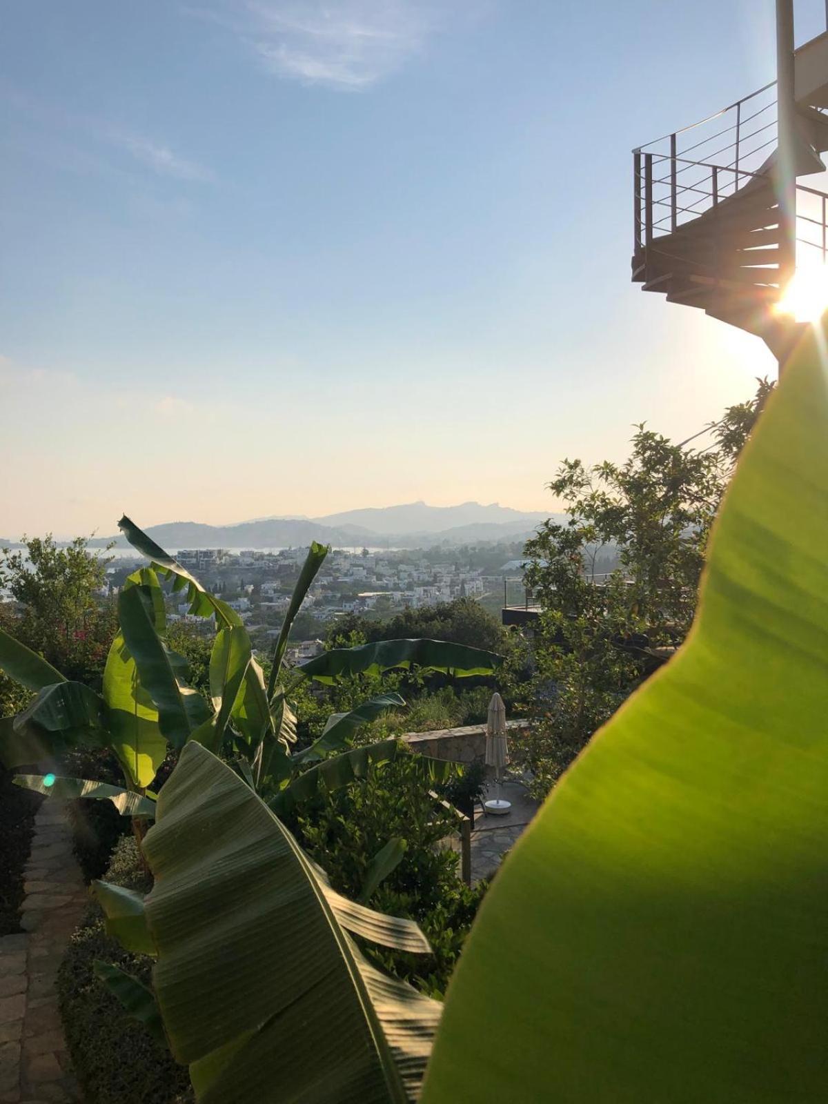 Spektr Boutique Hotel Yalikavak Luaran gambar