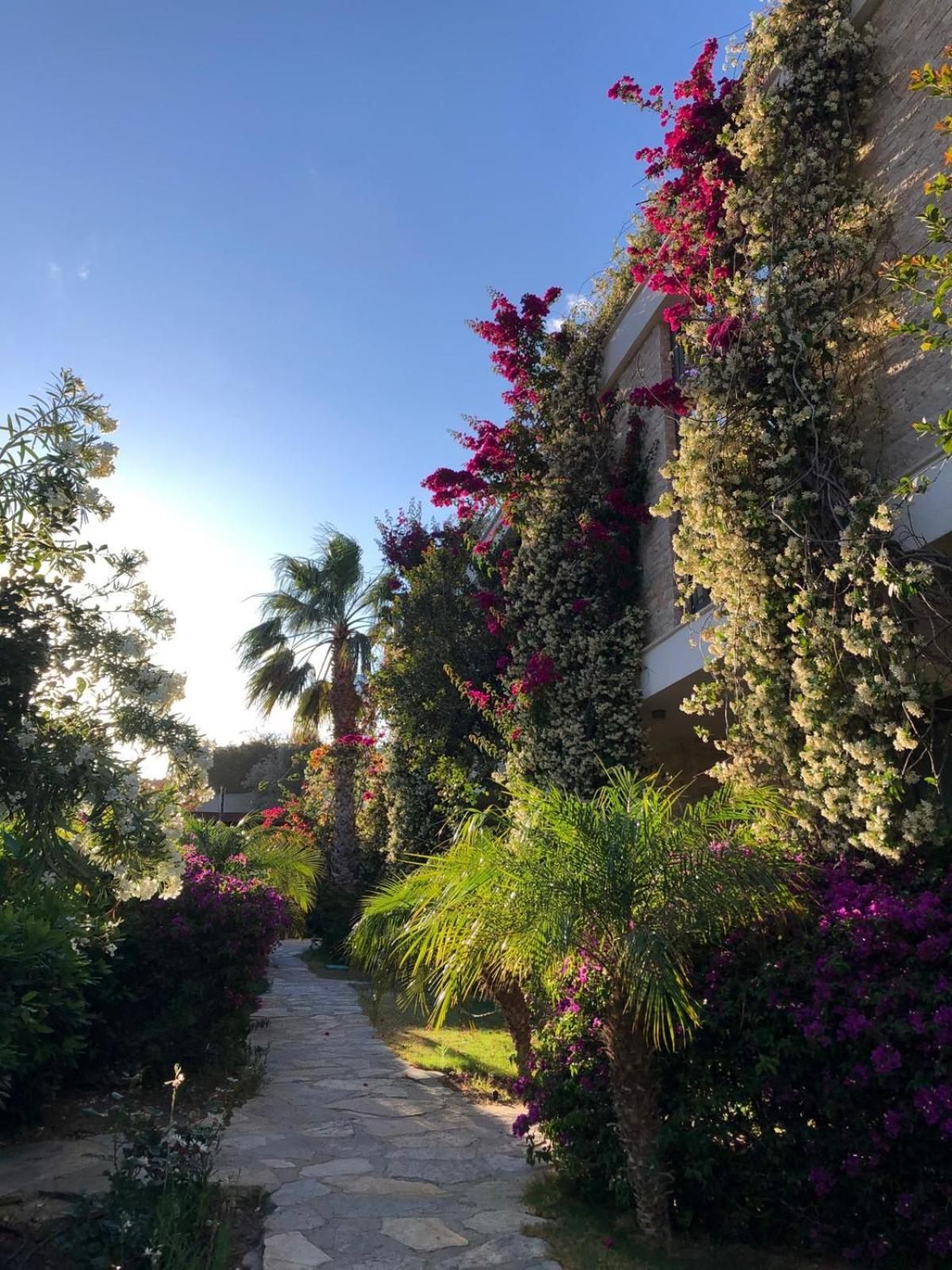 Spektr Boutique Hotel Yalikavak Luaran gambar